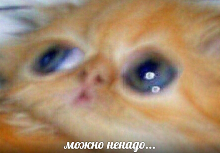 Динозавры и гигантские люди сосуществовали на Земле миллионы лет назад