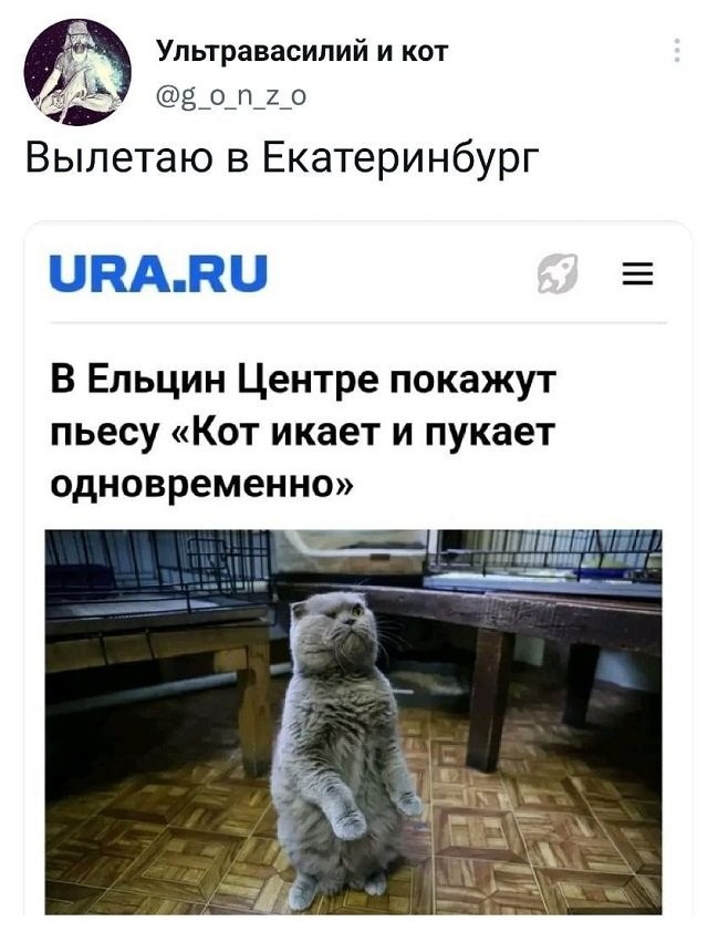 Картинки и мемы для настроения - 31