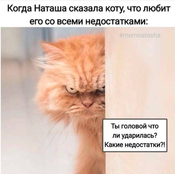 Так себе картинки 19.09.22