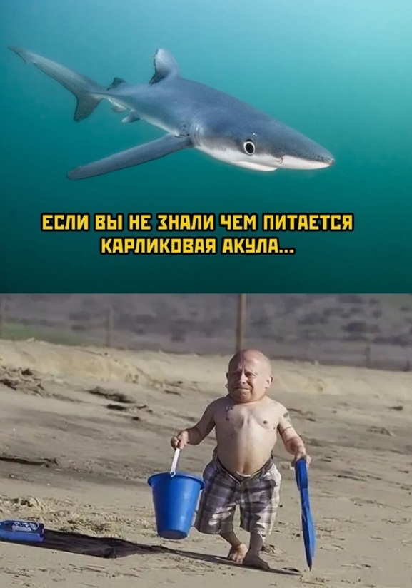 Картинки и мемы. Выходные близко...