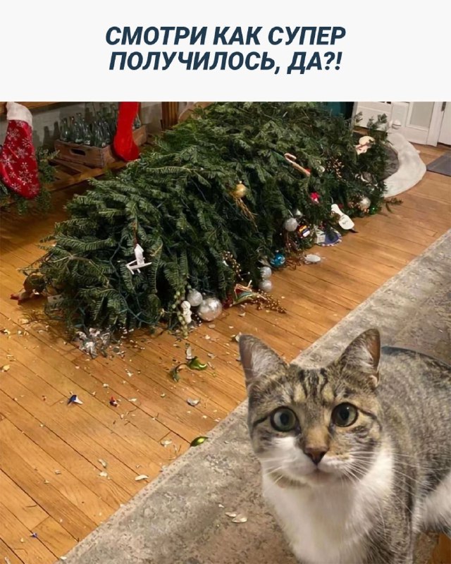 Немного картинок для настроения - 131