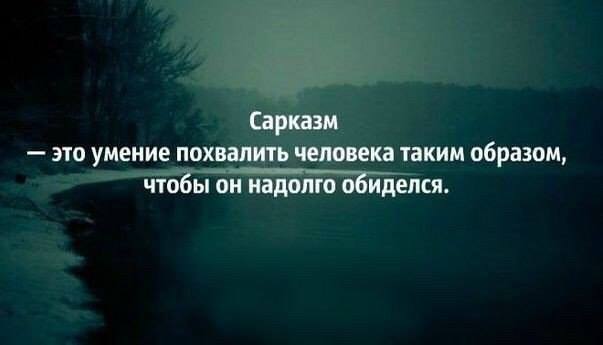 Весёлый полтишок 11.01.23