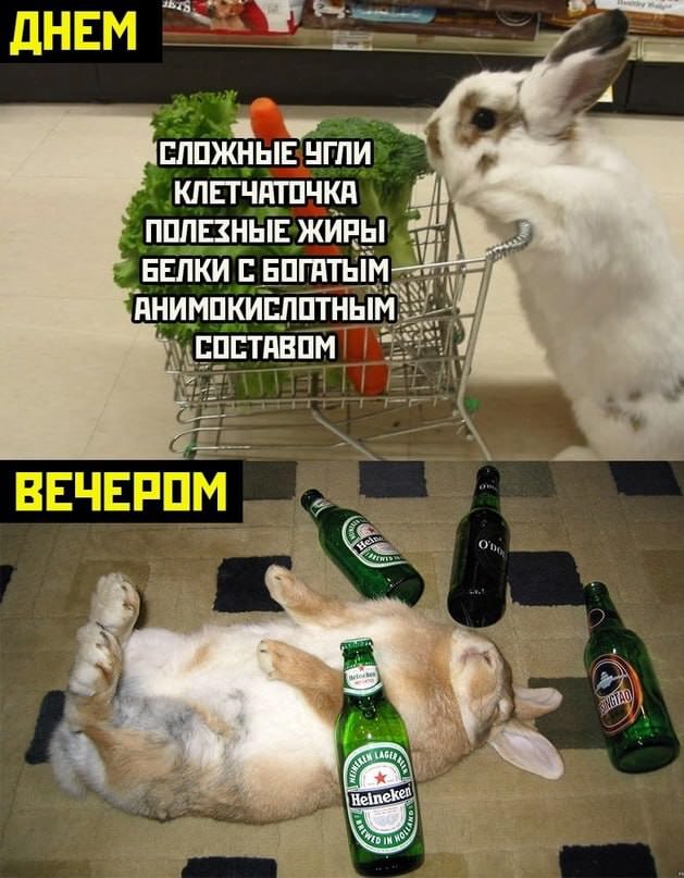 Немного картинок для настроения - 151