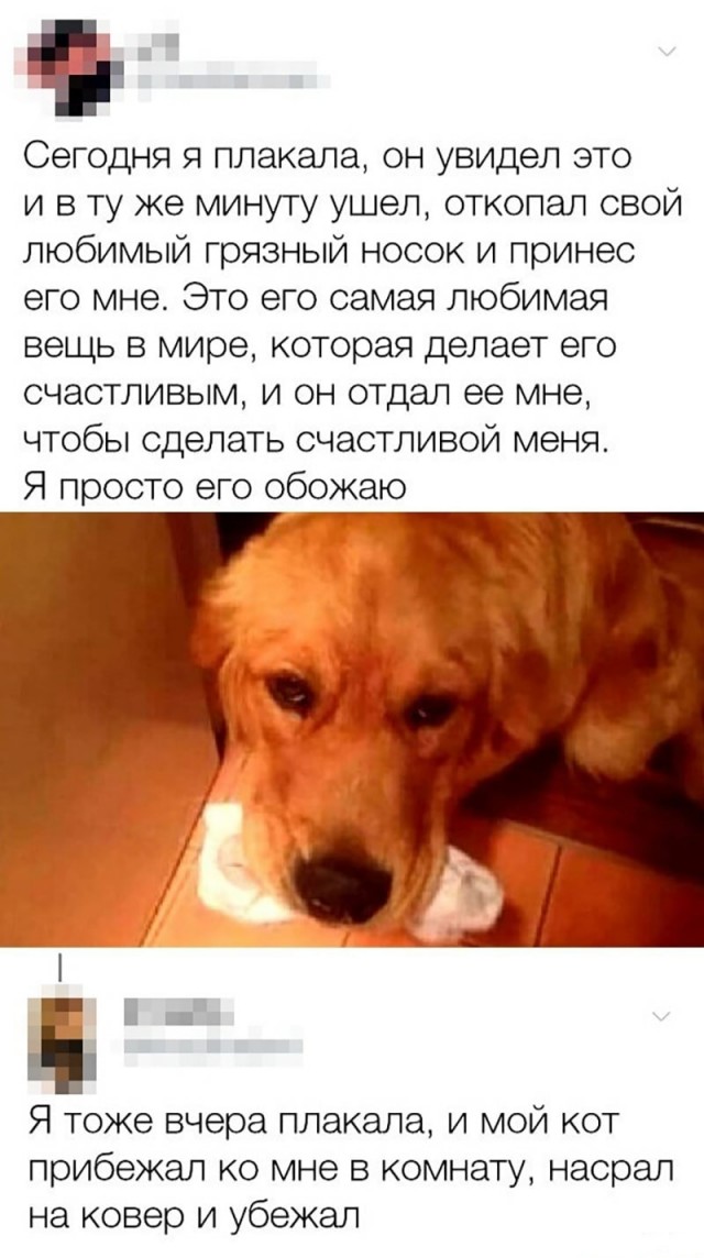 Нуштош 22.03.2023