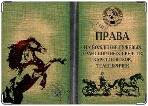 17 исторических фото, которые оживляют прошлое, заставляя взглянуть на него другими глазами