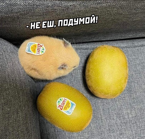 Картинки и мемы, это май-чародей всяко разно - 177