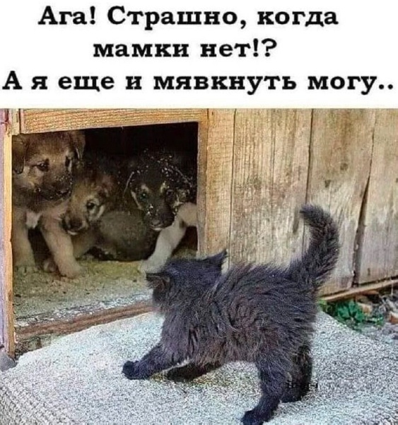 Всего понемногу 24.05
