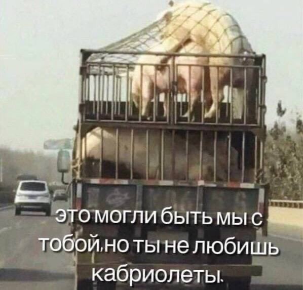 Так себе картинки 14.06.23
