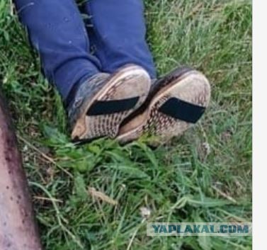 Рязанец на Оке поймал гигантского сома длиной в человеческий рост