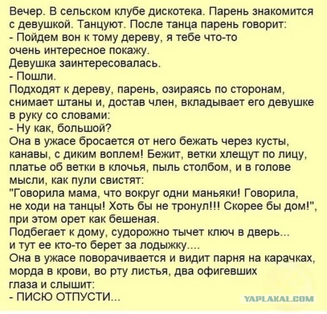 45 пятничных картинок 28.07.2023