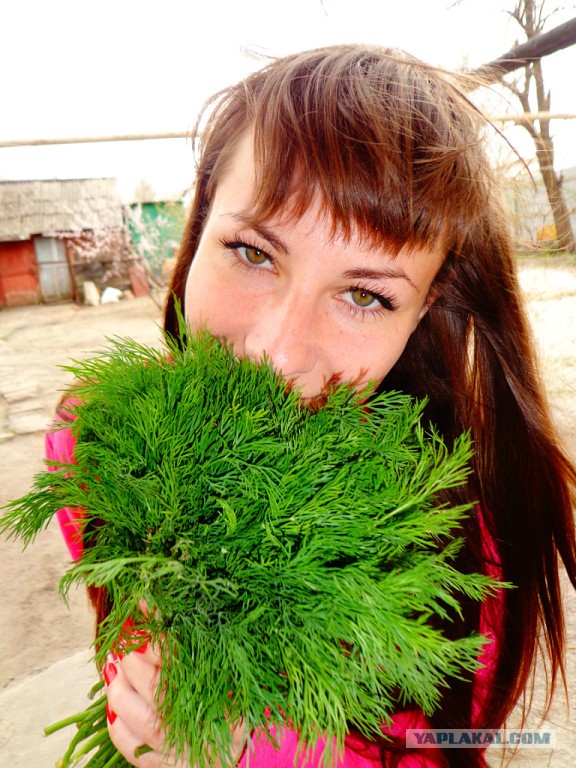 Тем временем в Орле.....