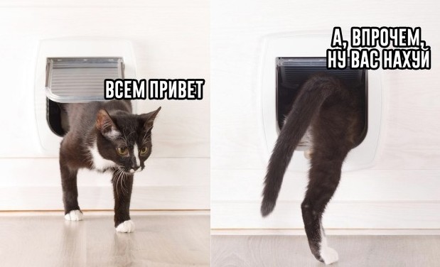 Мощный наезд на городских женщин от женщины из деревни