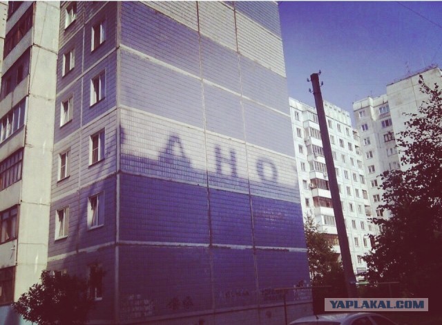Весёлый полтшок 09.05.24