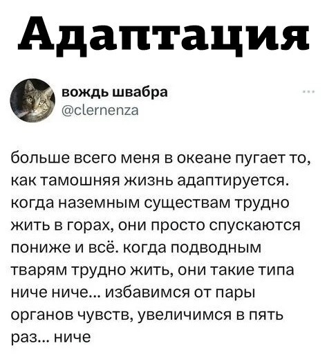 Никакие картинки и тексты