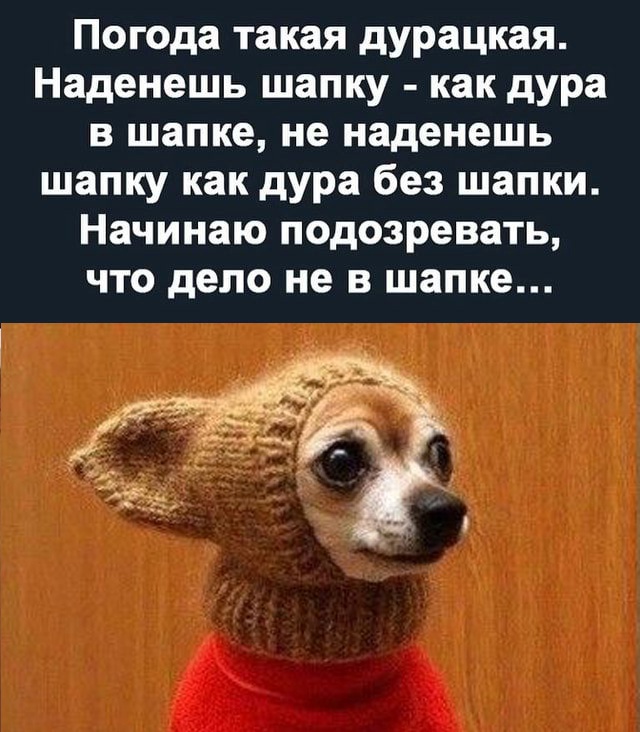 Так себе картинки 31.10.24