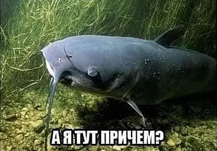 Свидание в 2024