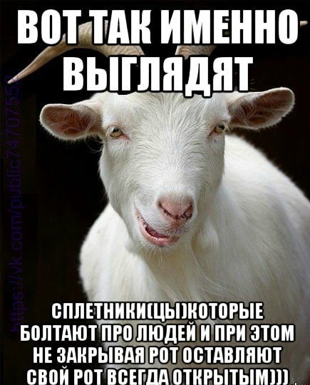 Прикольные и просто красивые картинки