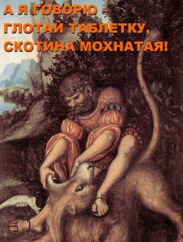 Веселые картинки в пятницу (17.01)