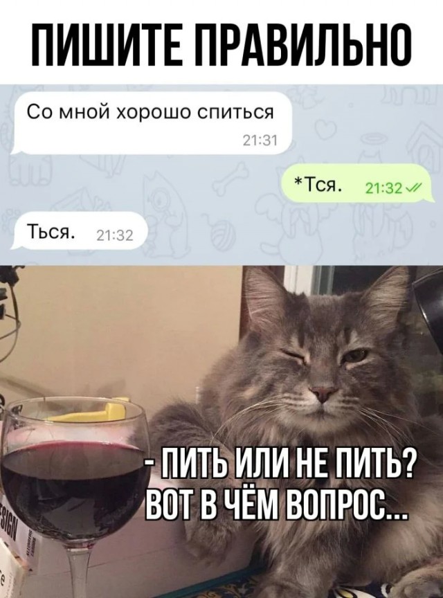 К котовторнику: подборка картинок-баянов с котиками и про котиков. Выпуск 10
