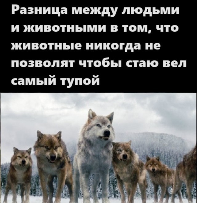 Так себе картинки 06.07.25