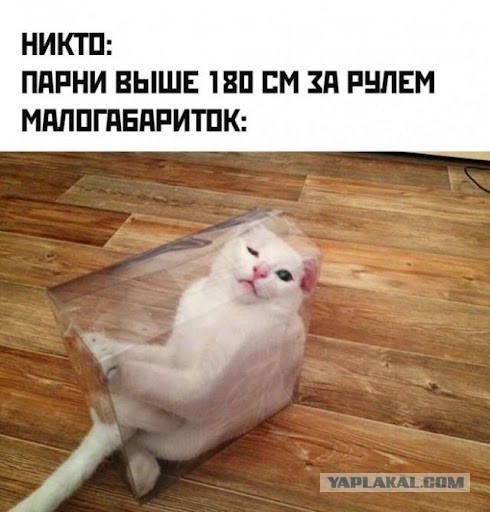 Картинки для деградации 25 (разной степени свежести)