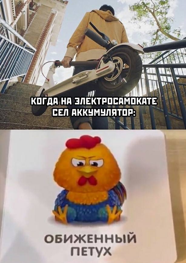Суббота. Боянчики. Деградация. Красота