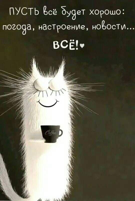 Прикольные и просто красивые картинки 18.11.2025