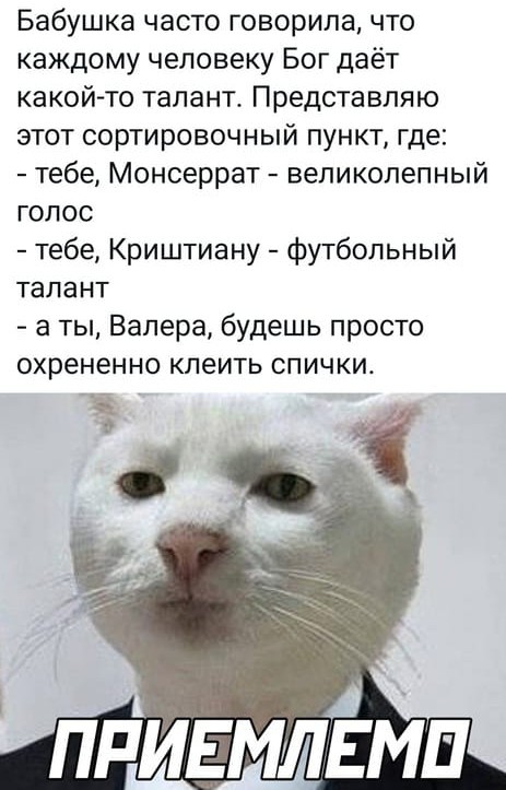 Так себе картинки 13.12.25