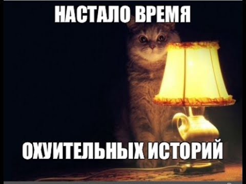 Такер Карлсон сообщил об арестах агентов Моссада в Катаре и Саудовской Аравии