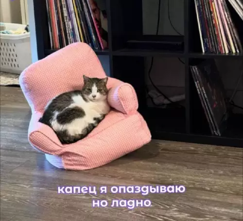 Картиночки, баянчики 13 марта