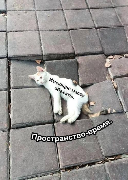 Картинки для деградации 244 (разной степени свежести)