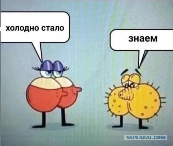 Куда деваются сиськи