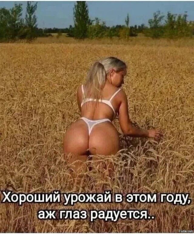 Так себе картинки 29.09.26