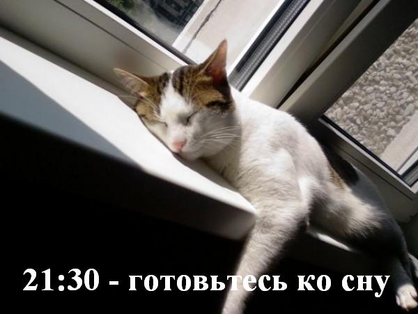 Всему свое время!