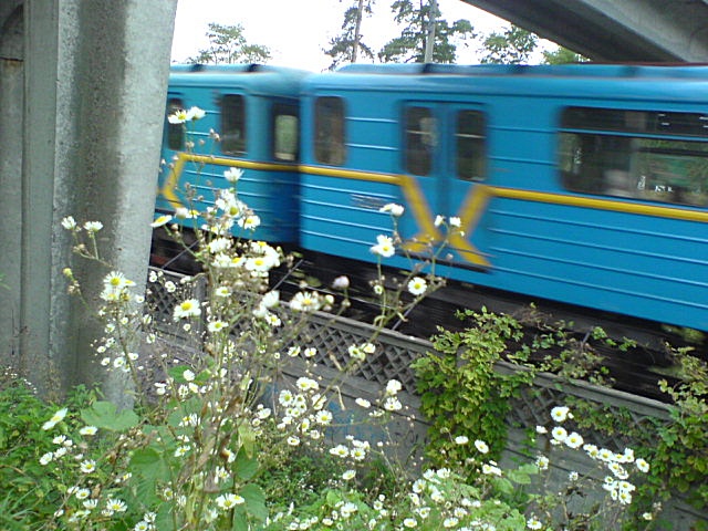 Победители фотоконкурса