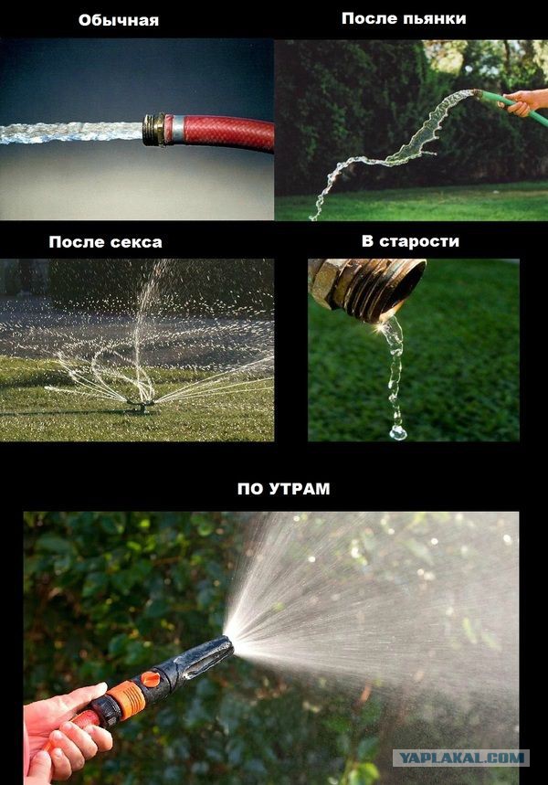 Позитивные картинки и комментарии.