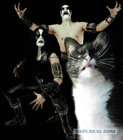 Одни из самых красивых обложек heavy metal !