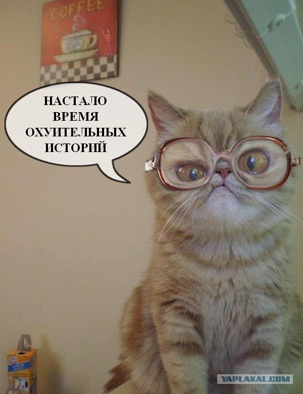 Опять небось на голых девок любуешься в интернете