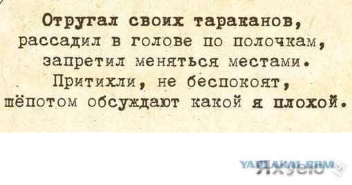 Смешные комментарии из соцсетей, картинки