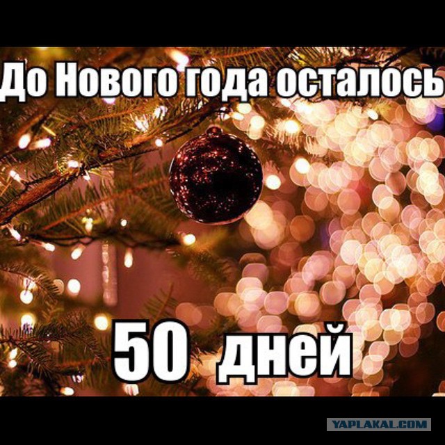 До Нового Года 50 Дней До Нового Года 50 Дней