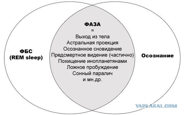Что от нас скрывают?