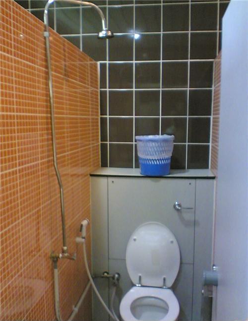 Весёлые картинки