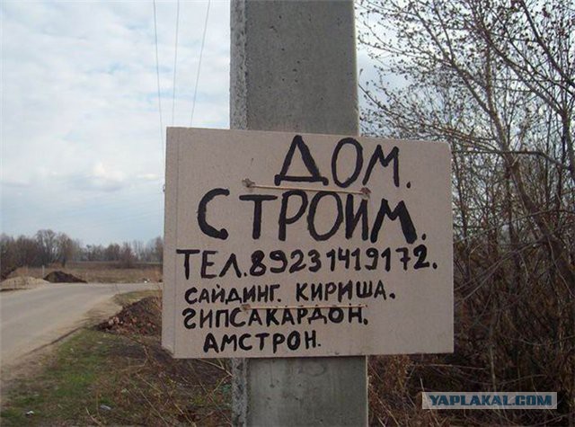 Прикольные картинки.