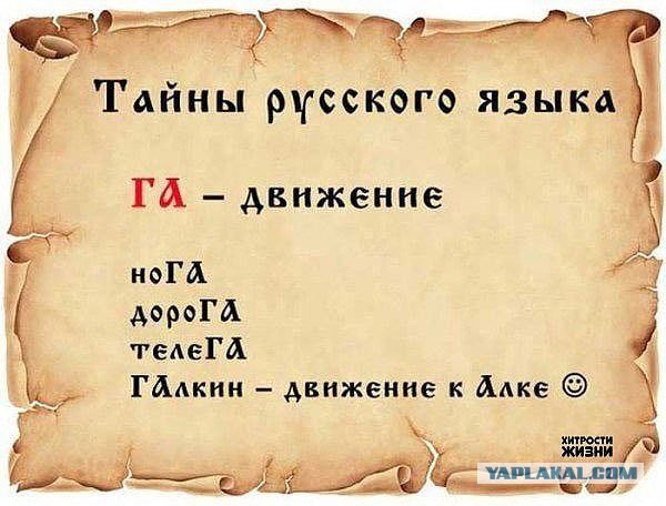 Картинки из сети на вторую часть пятницы