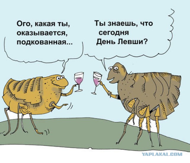 Как я шлейф чинил