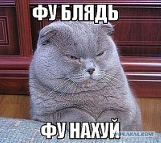 Стильно. модно. молодежно
