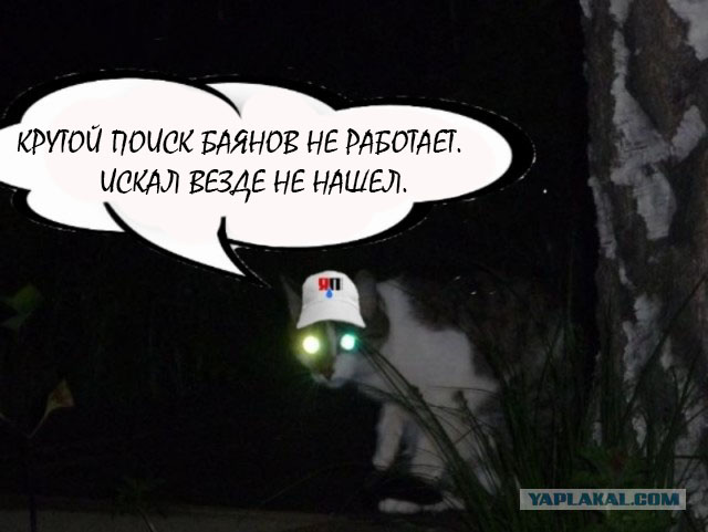 Вечерняя новость на форуме