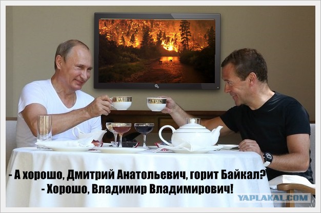 Путин и Медведев качаются