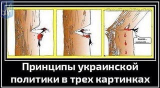 10 политических картинок часть 5