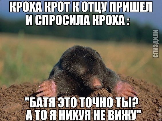 Наркоманский юмор